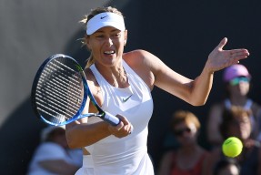 九游-莎拉波娃迎来十赛季高光表现，掘金球迷沸腾！的简单介绍